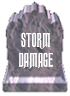 2020 Storm Damage
